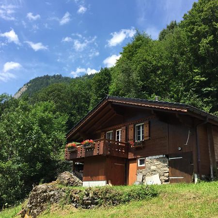Chalet Julian Lütschenthal Extérieur photo